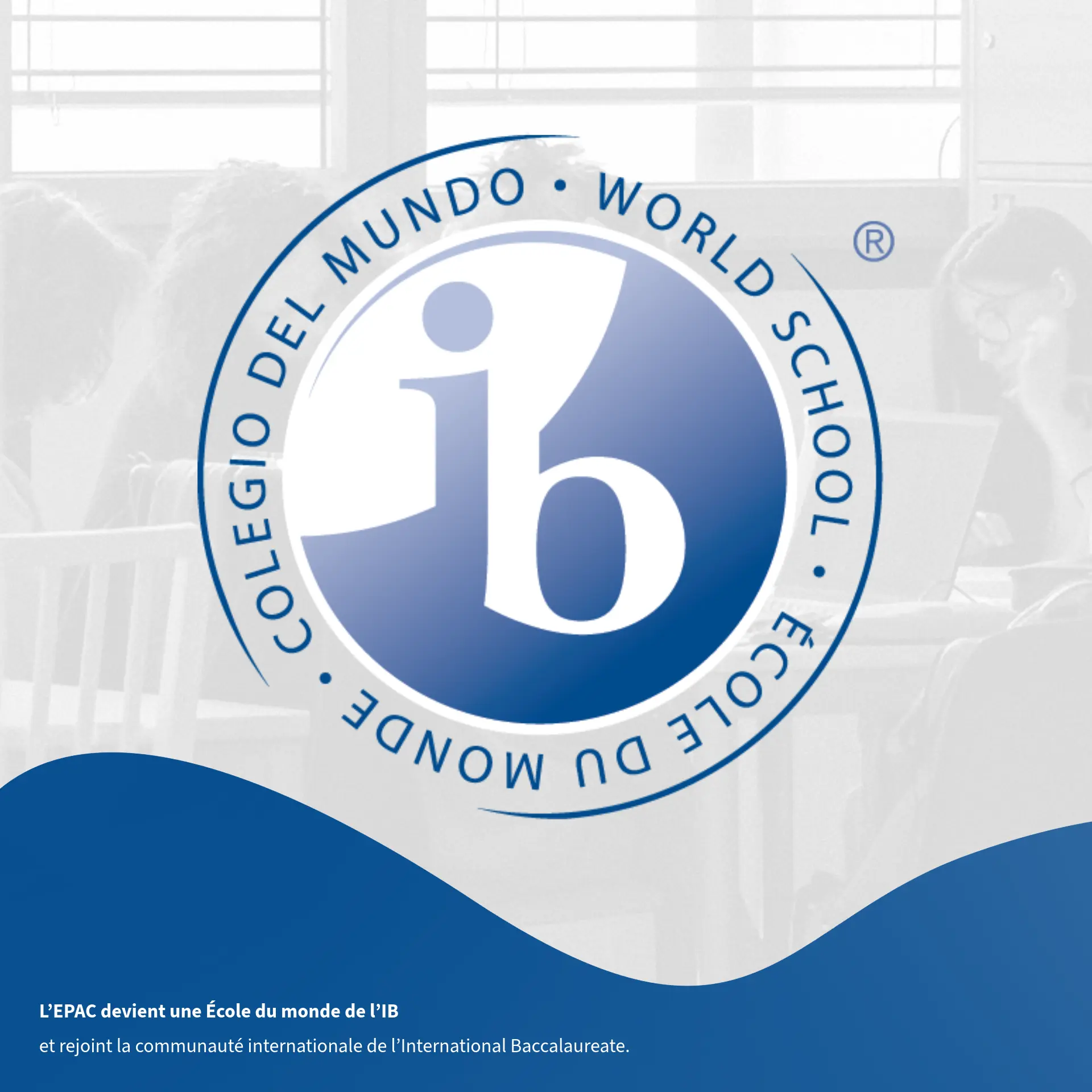Ibo logo site
